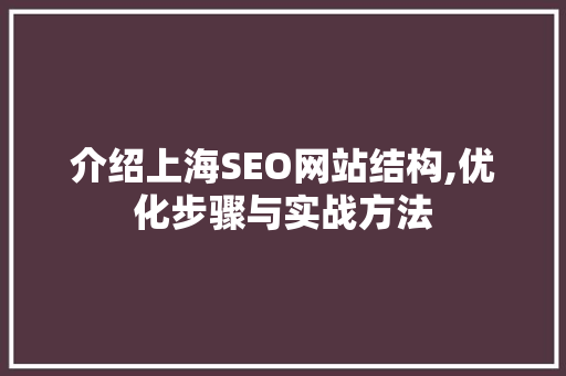 介绍上海SEO网站结构,优化步骤与实战方法