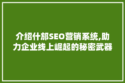 介绍什邡SEO营销系统,助力企业线上崛起的秘密武器