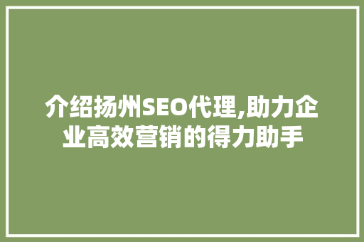 介绍扬州SEO代理,助力企业高效营销的得力助手