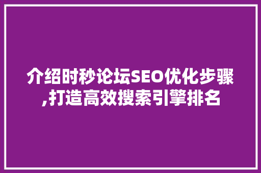介绍时秒论坛SEO优化步骤,打造高效搜索引擎排名