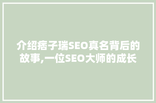 介绍痞子瑞SEO真名背后的故事,一位SEO大师的成长之路