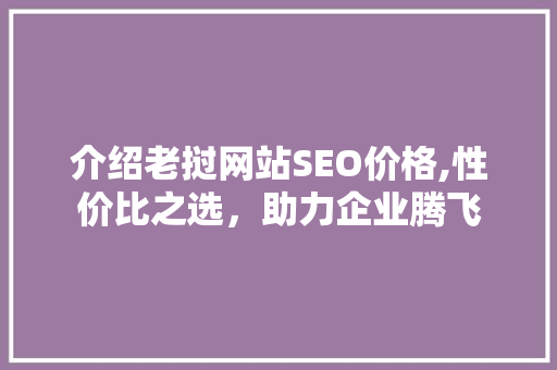 介绍老挝网站SEO价格,性价比之选，助力企业腾飞