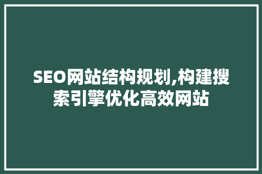SEO网站结构规划,构建搜索引擎优化高效网站