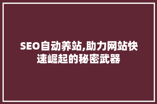 SEO自动养站,助力网站快速崛起的秘密武器
