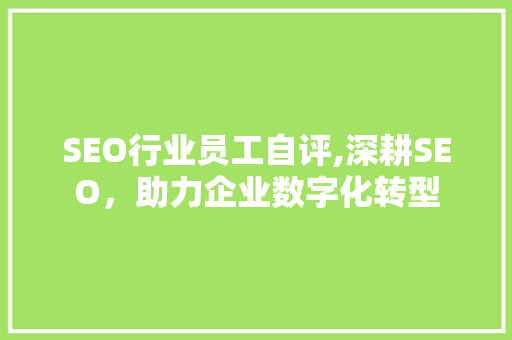 SEO行业员工自评,深耕SEO，助力企业数字化转型