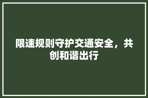 限速规则守护交通安全，共创和谐出行