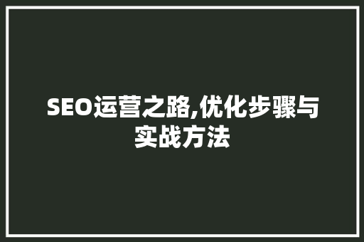 SEO运营之路,优化步骤与实战方法