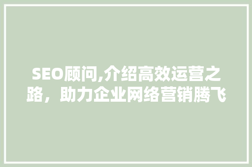 SEO顾问,介绍高效运营之路，助力企业网络营销腾飞
