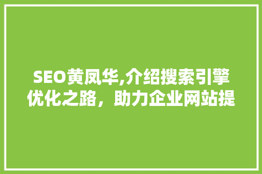 SEO黄凤华,介绍搜索引擎优化之路，助力企业网站提升排名
