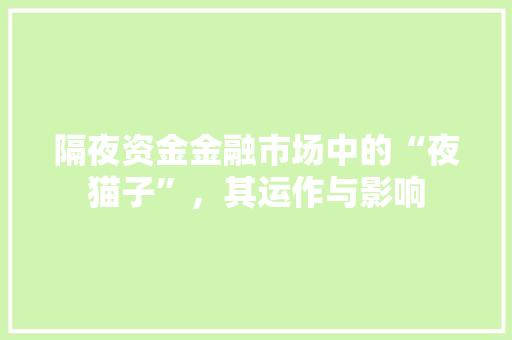 隔夜资金金融市场中的“夜猫子”，其运作与影响