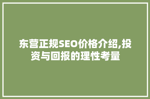 东营正规SEO价格介绍,投资与回报的理性考量