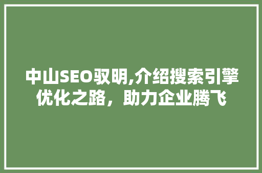 中山SEO驭明,介绍搜索引擎优化之路，助力企业腾飞
