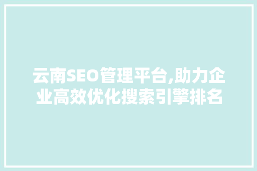 云南SEO管理平台,助力企业高效优化搜索引擎排名