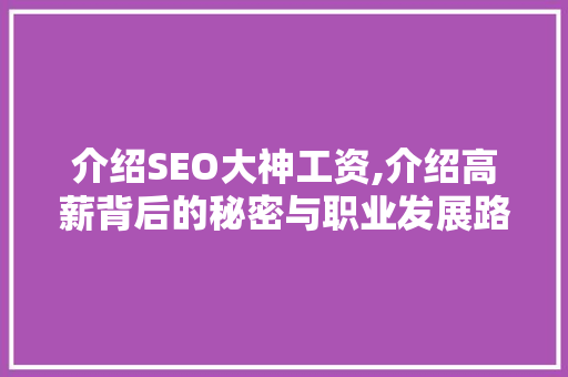 介绍SEO大神工资,介绍高薪背后的秘密与职业发展路径
