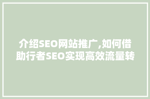 介绍SEO网站推广,如何借助行者SEO实现高效流量转化