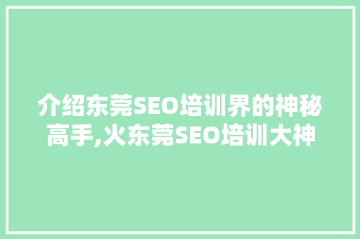 介绍东莞SEO培训界的神秘高手,火东莞SEO培训大神之路