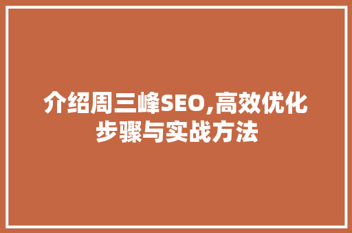 介绍周三峰SEO,高效优化步骤与实战方法
