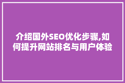 介绍国外SEO优化步骤,如何提升网站排名与用户体验