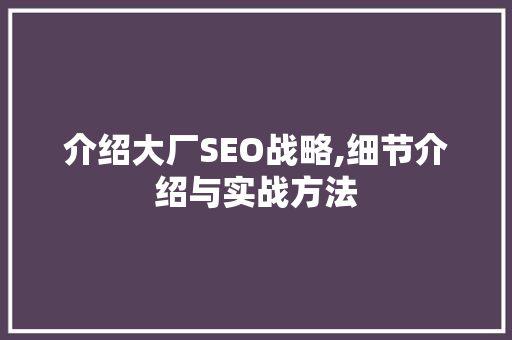 介绍大厂SEO战略,细节介绍与实战方法