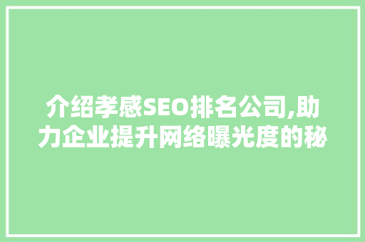 介绍孝感SEO排名公司,助力企业提升网络曝光度的秘密武器