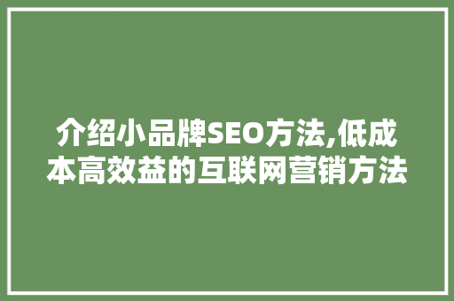 介绍小品牌SEO方法,低成本高效益的互联网营销方法