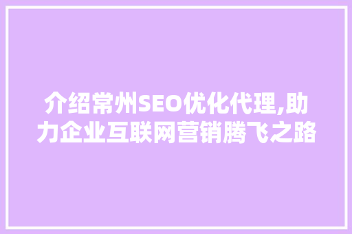 介绍常州SEO优化代理,助力企业互联网营销腾飞之路