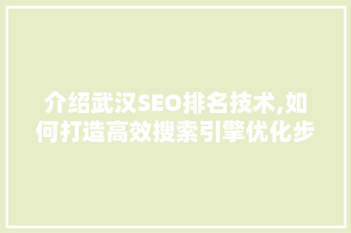 介绍武汉SEO排名技术,如何打造高效搜索引擎优化步骤