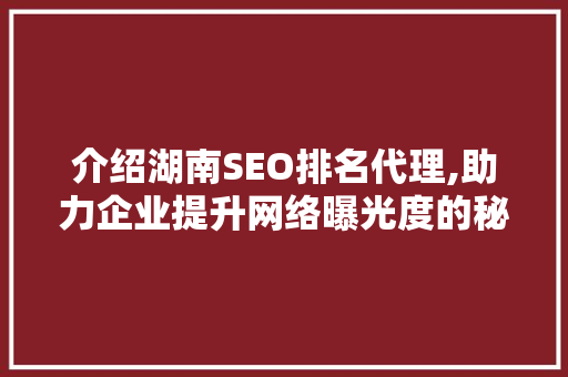 介绍湖南SEO排名代理,助力企业提升网络曝光度的秘密武器