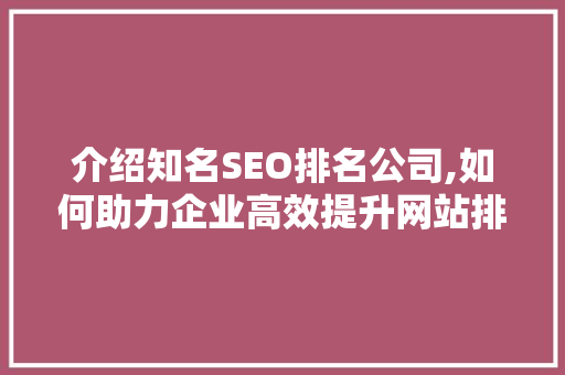 介绍知名SEO排名公司,如何助力企业高效提升网站排名
