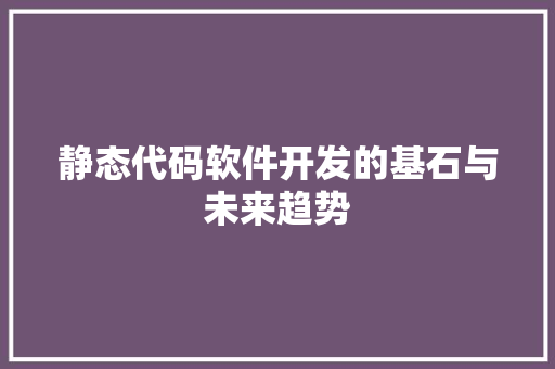 静态代码软件开发的基石与未来趋势
