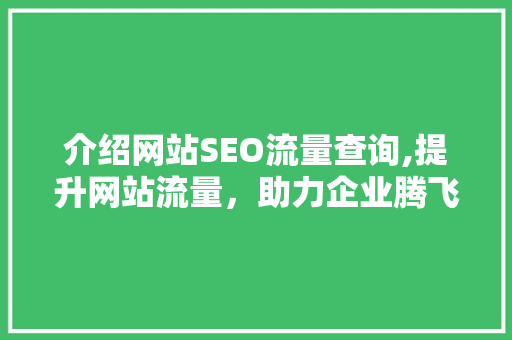 介绍网站SEO流量查询,提升网站流量，助力企业腾飞