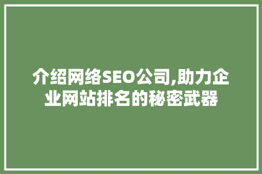 介绍网络SEO公司,助力企业网站排名的秘密武器