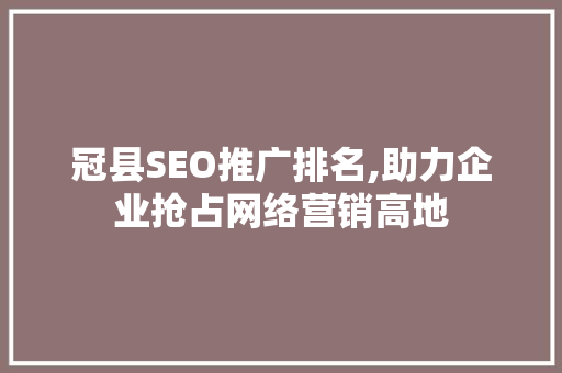 冠县SEO推广排名,助力企业抢占网络营销高地