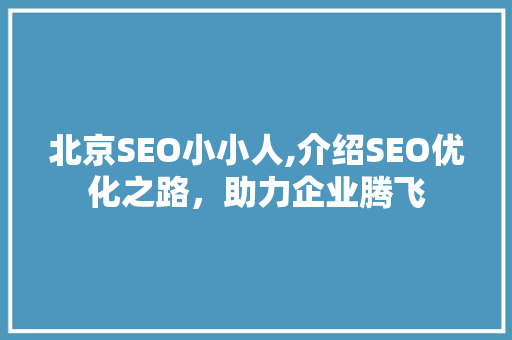 北京SEO小小人,介绍SEO优化之路，助力企业腾飞