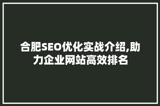 合肥SEO优化实战介绍,助力企业网站高效排名