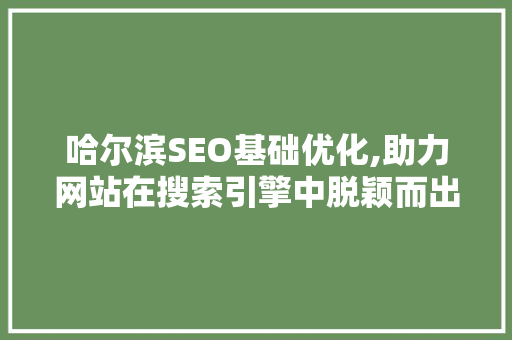 哈尔滨SEO基础优化,助力网站在搜索引擎中脱颖而出