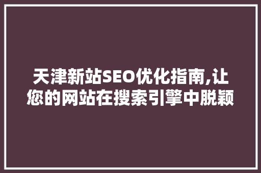 天津新站SEO优化指南,让您的网站在搜索引擎中脱颖而出