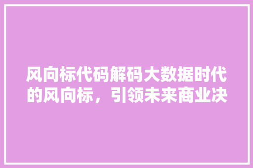 风向标代码解码大数据时代的风向标，引领未来商业决策