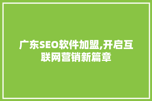 广东SEO软件加盟,开启互联网营销新篇章