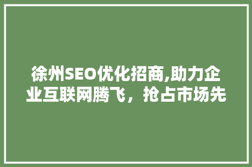 徐州SEO优化招商,助力企业互联网腾飞，抢占市场先机