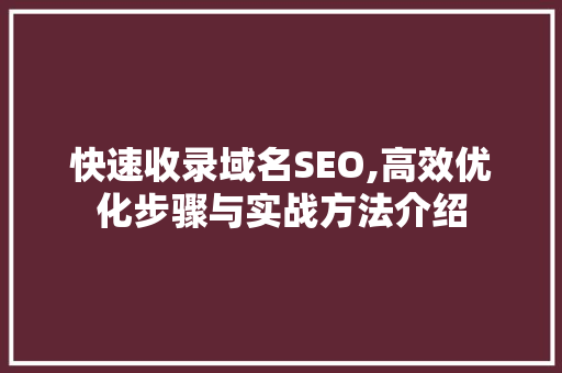 快速收录域名SEO,高效优化步骤与实战方法介绍