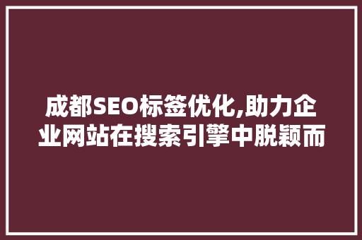 成都SEO标签优化,助力企业网站在搜索引擎中脱颖而出