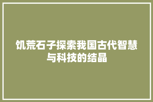 饥荒石子探索我国古代智慧与科技的结晶