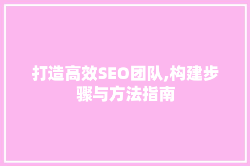 打造高效SEO团队,构建步骤与方法指南