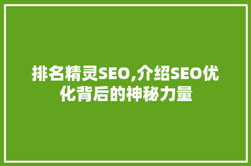 排名精灵SEO,介绍SEO优化背后的神秘力量