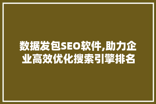 数据发包SEO软件,助力企业高效优化搜索引擎排名