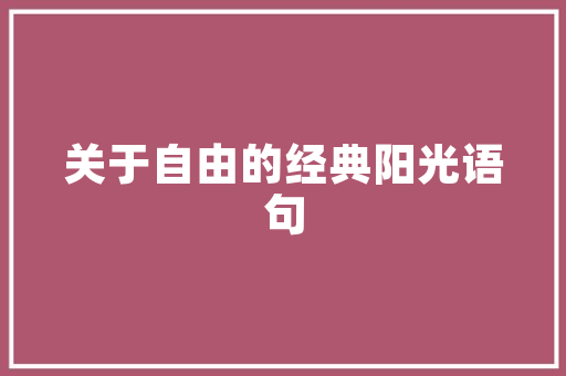 新时期SEO之路,拥抱变革，引领搜索引擎优化新潮流