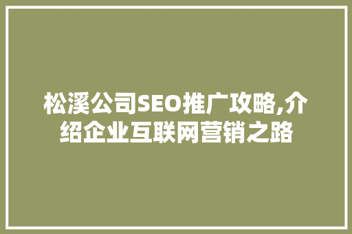 松溪公司SEO推广攻略,介绍企业互联网营销之路