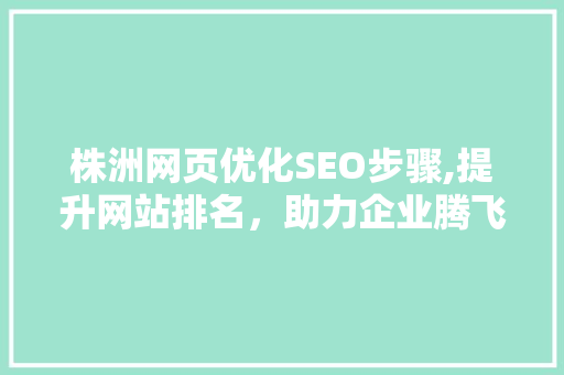 株洲网页优化SEO步骤,提升网站排名，助力企业腾飞