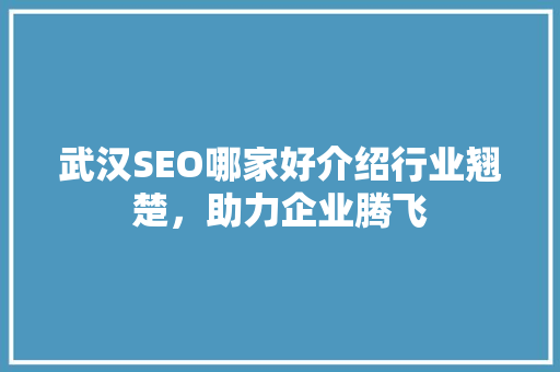 武汉SEO哪家好介绍行业翘楚，助力企业腾飞